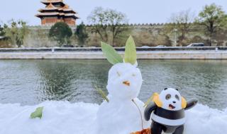 AI教你故宫初雪这么拍 AI教你故宫初雪这么拍