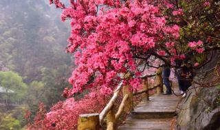 武汉景点介绍 武汉景点介绍